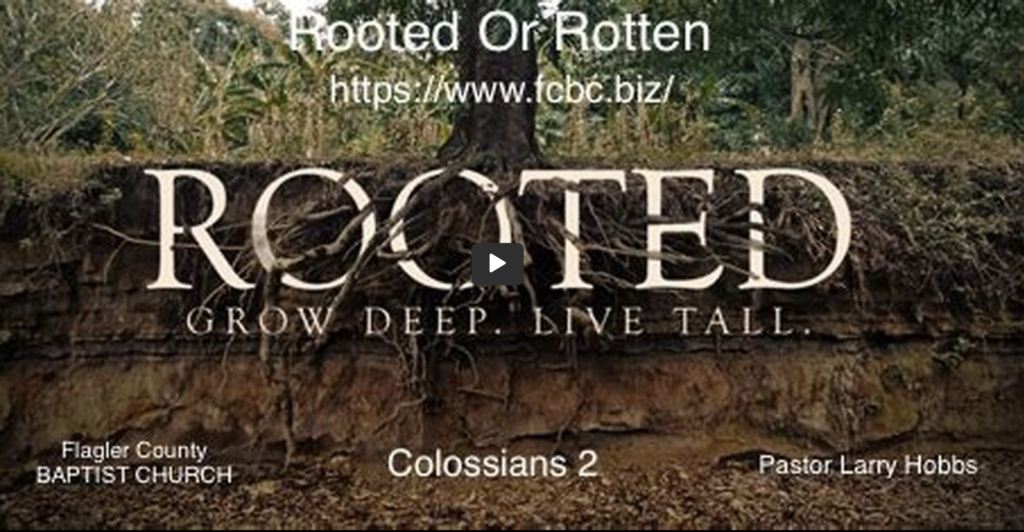 Are you Rooted or are you Rotten.