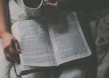 The Bible Your Handbook For Your Home