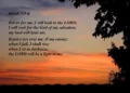 Micah 7:8