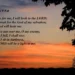 Micah 7:8