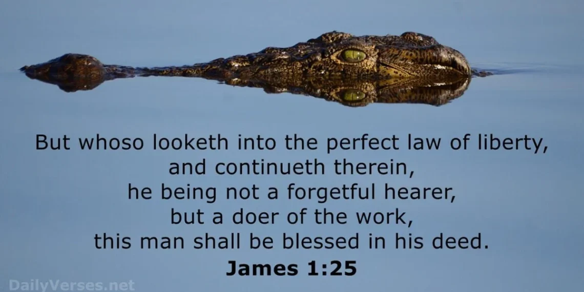 Gazing into the Perfect Law