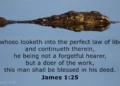 Gazing into the Perfect Law