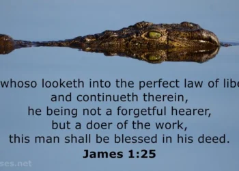 Gazing into the Perfect Law