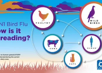 WEF & Gates-Funded Scientists Develop Mutant ‘Bird Flu’ That Rapidly Spreads in Humans with 100% Kill Rate