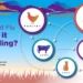 WEF & Gates-Funded Scientists Develop Mutant ‘Bird Flu’ That Rapidly Spreads in Humans with 100% Kill Rate